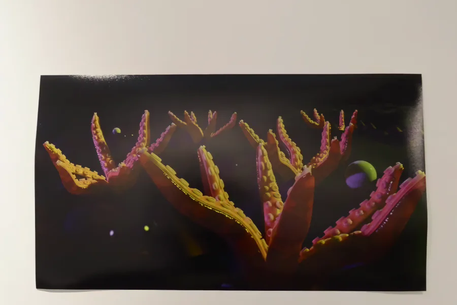 A student's print on a gallery wall: orange and pink coral-like branches on black